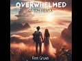 finn gruva overwhelmed dj toy remix