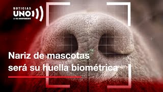 Identificación biométrica de mascotas, último en tecnología