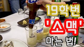 💥19학번 신상 소맥 마는법💥