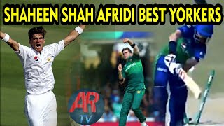 Shaheen Shah Afridi Best Boling & Yorkers & Delivery  in circket histori || AR TV