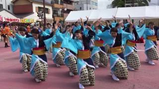 四季舞（華彩）  2016.10.08安濃津よさこい