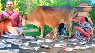 ஐ.டி பணியை விட்டு மாட்டு பண்ணை தொழில் மூலம் மாதம் இரண்டு இலட்சம் வருமானம் | Cow Farms | Siva Arun Tv