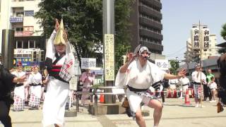 弁慶連  高円寺阿波おどり  熊本地震被災地救援募金