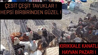 KIRIKKALE KANATLI HAYVAN PAZARI / BİRBİRİNDEN GÜZEL TAVUKLAR / HOBİCİ VE ÜRETİCİLERLE SOHBET !