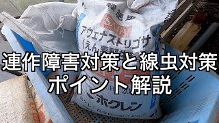 トマト自根連作２６年、長ねぎ連作４０年。連作障害と線虫対策の秘訣教えます。