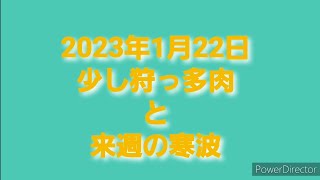 2023年1月22日少し狩っ多肉と来週の寒波