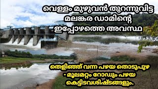 വെള്ളം മുഴുവനും തുറന്ന് വിട്ട മലങ്കര ഡാമിന്റെ ഇപ്പോഴത്തെ അവസ്ഥ | മൂലമറ്റം പഴയ റോഡ് | Malankra Dam