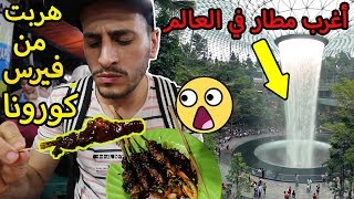 تحدي تجربة أكل الشارع في إندونيسيا أول يوم في جاكارتا