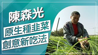 原生種韭菜從頭到腳都是寶，能提高免疫力殺菌防病，身為韭菜控的你，應該怎麼吃呢?讓達人陳森光教你創意吃韭菜！