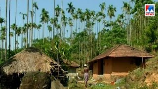 മലയോരമേഖലയിൽ വന്യമൃഗശല്യം രൂക്ഷമാകുന്നു