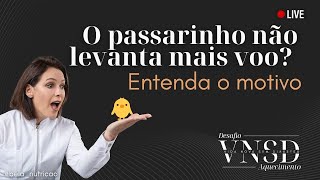 O passarinho não levanta mais voo? Entenda o motivo