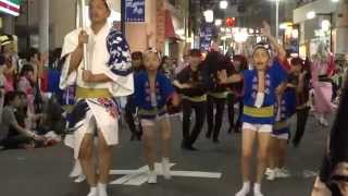 天翔連（高円寺）／ 第46回 初台阿波踊り2015 二日目