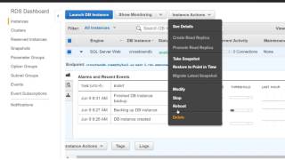 Delete SQL Server Instance from AWS