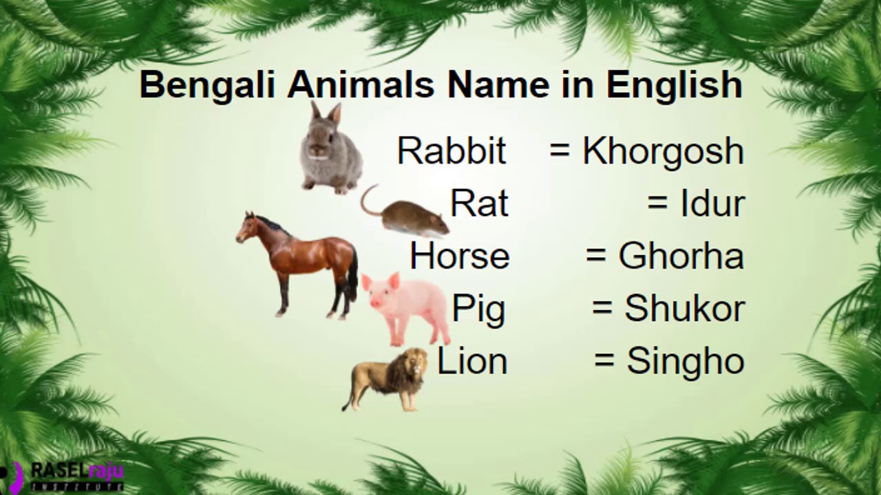 Learn Bengali Animals Name In English By RASELraju Institute - YouTube