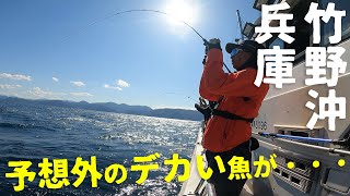 予想外のデカい魚が・・・！？【兵庫県・竹野沖ディープタイラバ】