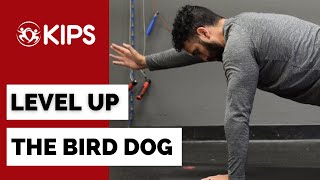 Level Up The Bird Dog | Taking this well known warm up and mobility drill to the next level!