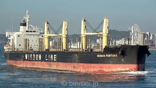 DAIWAN FORTUNE - WISDOM MARINE LINES bulk carrier