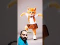 Cat Dancing Video #cat #cattos #funny #shorts #shortvideo