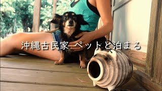 Staying at a Pet Friendly Old Japanese House / 沖縄今帰仁村の古民家宿