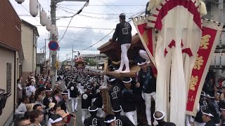 2016年貝塚麻生郷だんじり祭 小瀬町