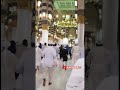 viral detik2 pintu masjid nabawi di buka shorts