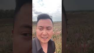 没货了，等后面怎么弄吧，你们之前拍的今晚全部发完