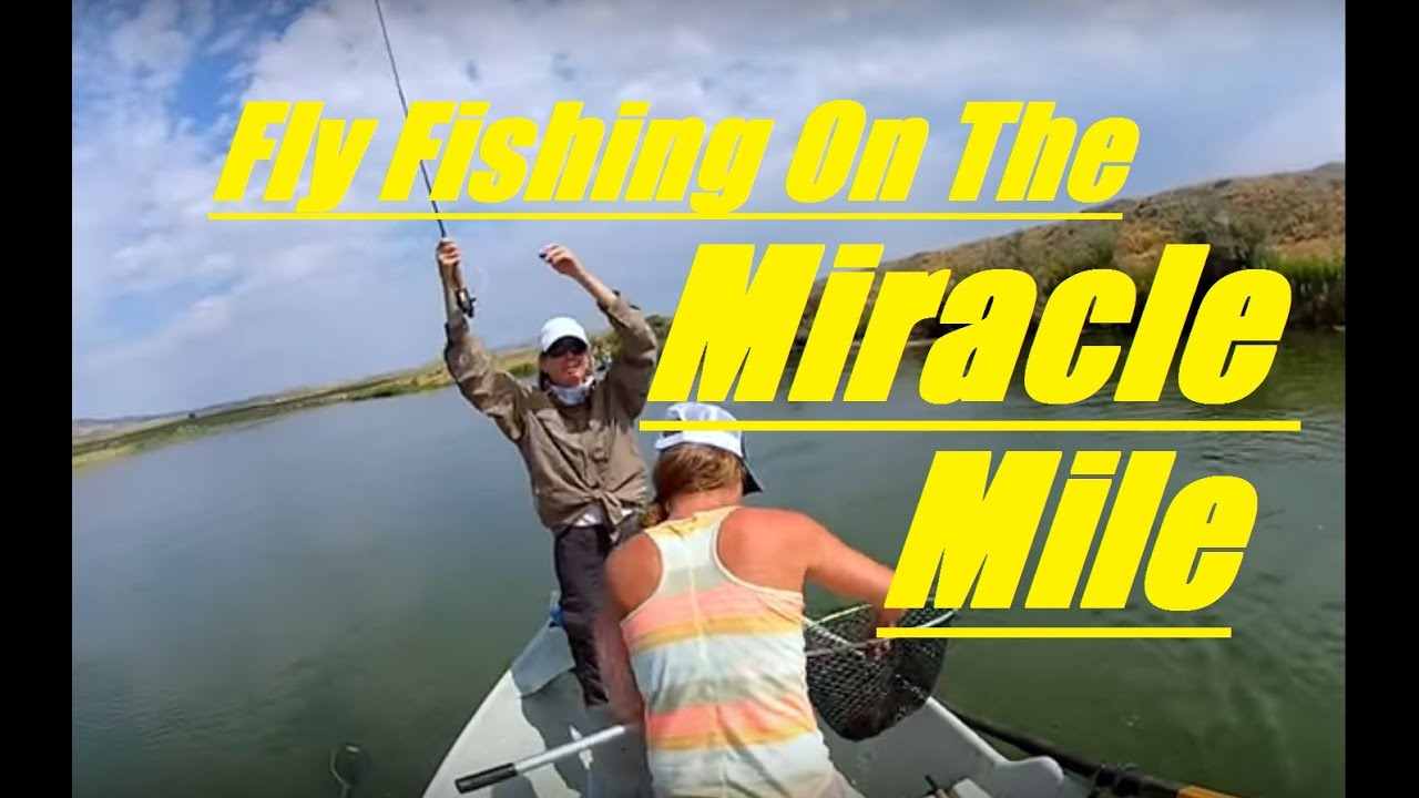 Guided Fly Fishing The Miracle Mile: North Platte Wyoming Brown ...