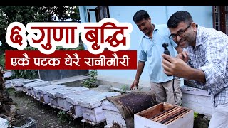 🐝🐝🐝थोरै लगानीमा मौरी पालन 🐝🐝🐝 || माहुरी (मौरी) पालन नेपाल|| Paurakhi TV