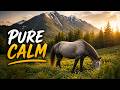 Nature Sounds for Relaxation | Serene Horse Meadow Music for Focus & Tranquility