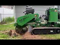 carlton 5014 ntx mulberry stump grind