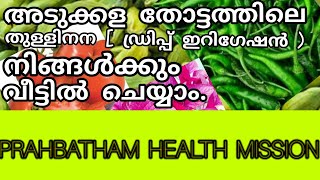 പച്ചക്കറി കൃഷിയിലെ തുള്ളി നന. അടുക്കളത്തോട്ടത്തിലെ ഡ്രിപ്പ് ഇറിഗേഷൻ. PRABHATHAM HEALTH  MISSION