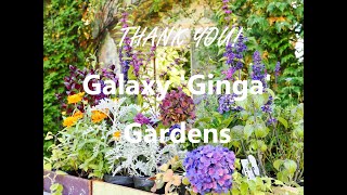 【-最終日-えこりん村 銀河庭園】Galaxy 'Ginga' Gardens(北海道恵庭市 ENIWA HOKKAIDO)