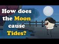 How does the Moon cause Tides? + more videos | #aumsum #kids #science #education #children