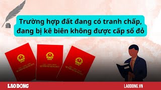 Trường hợp đất đang có tranh chấp, đang bị kê biên không được cấp sổ đỏ | Báo Lao Động