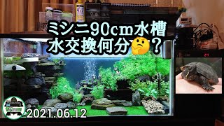 【ミシシッピニオイガメ】水交換作業何分🤔❓️