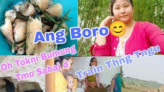 Swng Tni Boro Muya Failai Ka || Oh Tokni Bumung Tmo || @Vlog Jelina Debbarma🥀