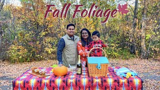 Experience Autumn in Canada | A Charcuterie Picnic | কানাডার হেমন্তের রংয়ের আনন্দধারা