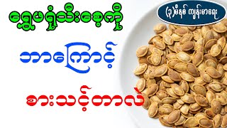 သင်မသိသေးတဲ့ ရွှေဖရုံသီးအစေ့ ၊ Pumpkin seeds