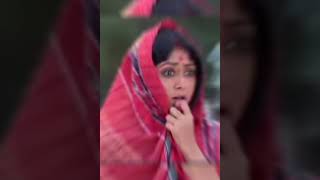 অবশেষে প্রান্তিক ধরা পড়ে 🥰♥#love #shortsvideo #viralvideo #ytshorts