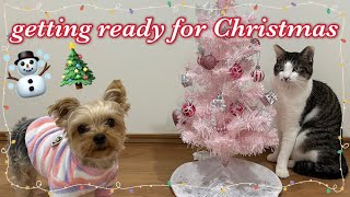 【準備】愛犬愛猫と一緒にクリスマスツリー飾り付けしてみた🎄