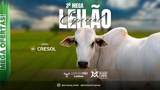 3° MEGA LEILÃO PRESENCIAL E VIRTUAL JM LEILÕES - 09/11/2024