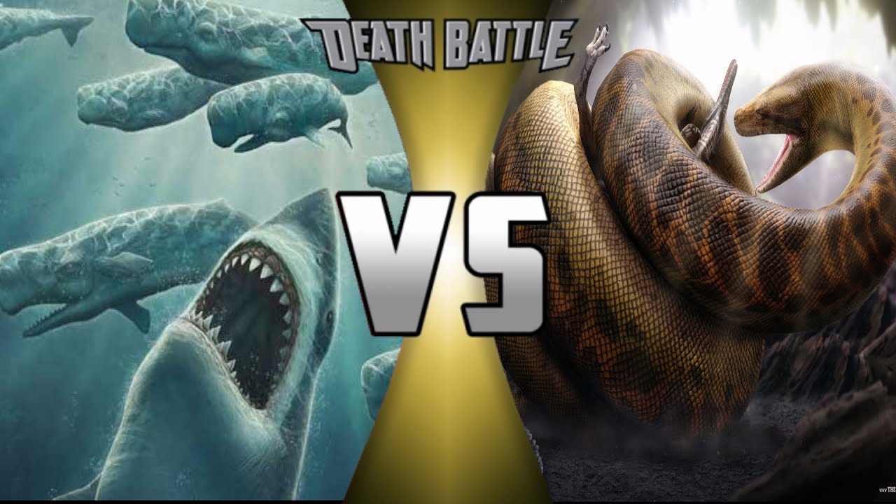 Mosasaurus Vs Megalodon Preview Megalodon Vs Mosasaurus Garnrisnet Mosasaurus Vs Megalodon Preview Megalodon Vs Mosasaurus Garnrisnet
