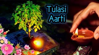 Tulasi Aarti || Krishna bhakti forever