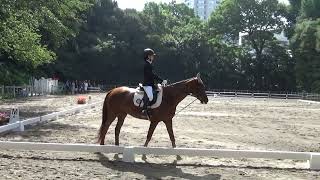 【令和5年度 学習院大学対慶應義塾大学馬術定期戦】JEF馬場馬術競技第2課目B 丸山くらら(大2)・天桜