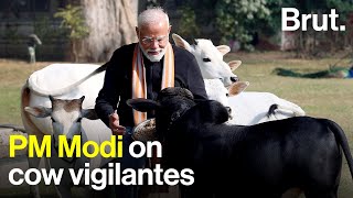 PM Modi on cow vigilantes