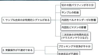 免疫組織化学染色 (IHC) の基礎：第5回 FAQ