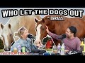 Who Let the [Grass] Dogs Out? || Two Hot Takes Podcast || Reddit Stories