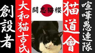 【衝撃のヤキシーン】猫道會　創設者　大和猫吉氏