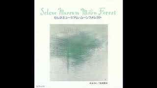 Kensuke Mitome (三留研介) & Gota Wakabayashi (若林剛太) - Selene Museum Moon Forest (1993) Full Album