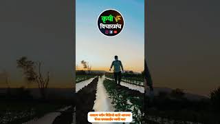 शेती म्हणजे सगळे काही #agriculture